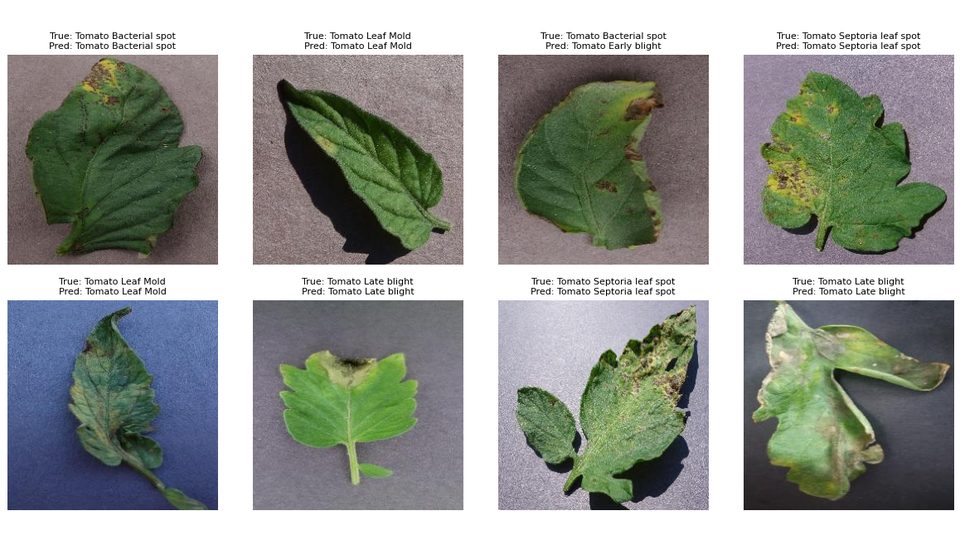 ViT Image Classifier — screenshot